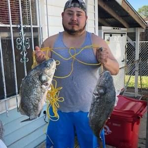 Meet your Posher, Victor